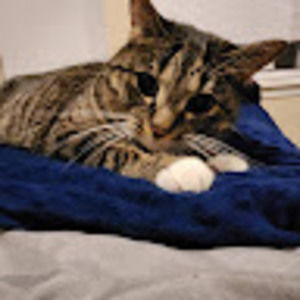 Meet your Posher, Matthew